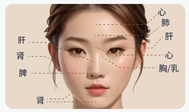 AI 面诊舌诊示意图